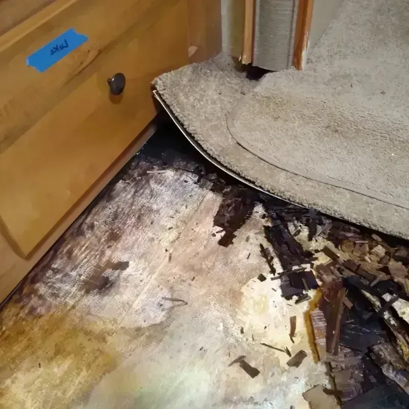 Wood Floor Water Damage in Canfield, OH